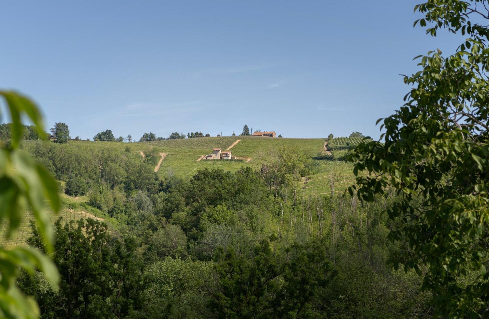 I Ciabot Di Monforte Monforte dʼAlba Eksteriør bilde