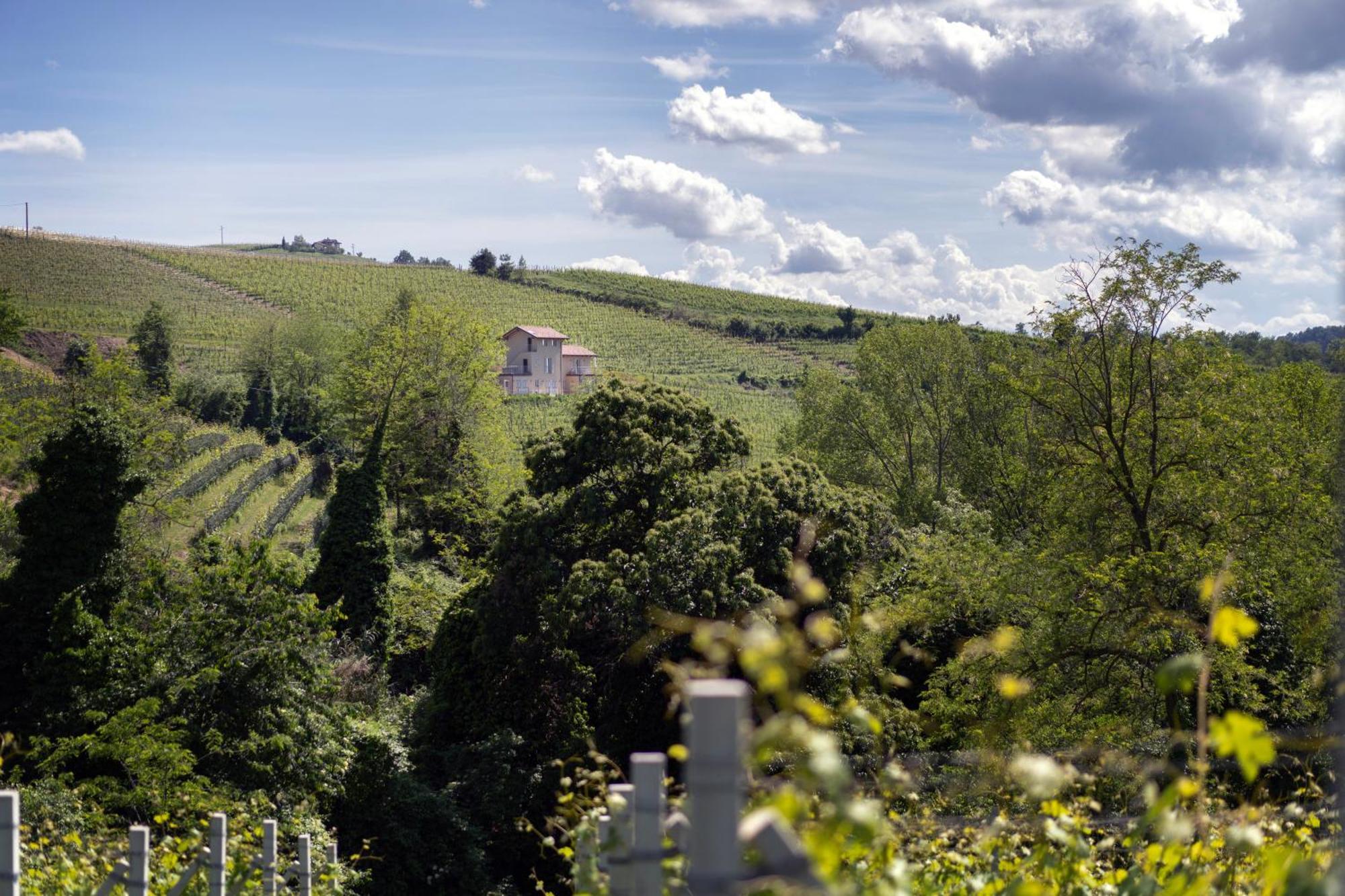 I Ciabot Di Monforte Monforte dʼAlba Eksteriør bilde